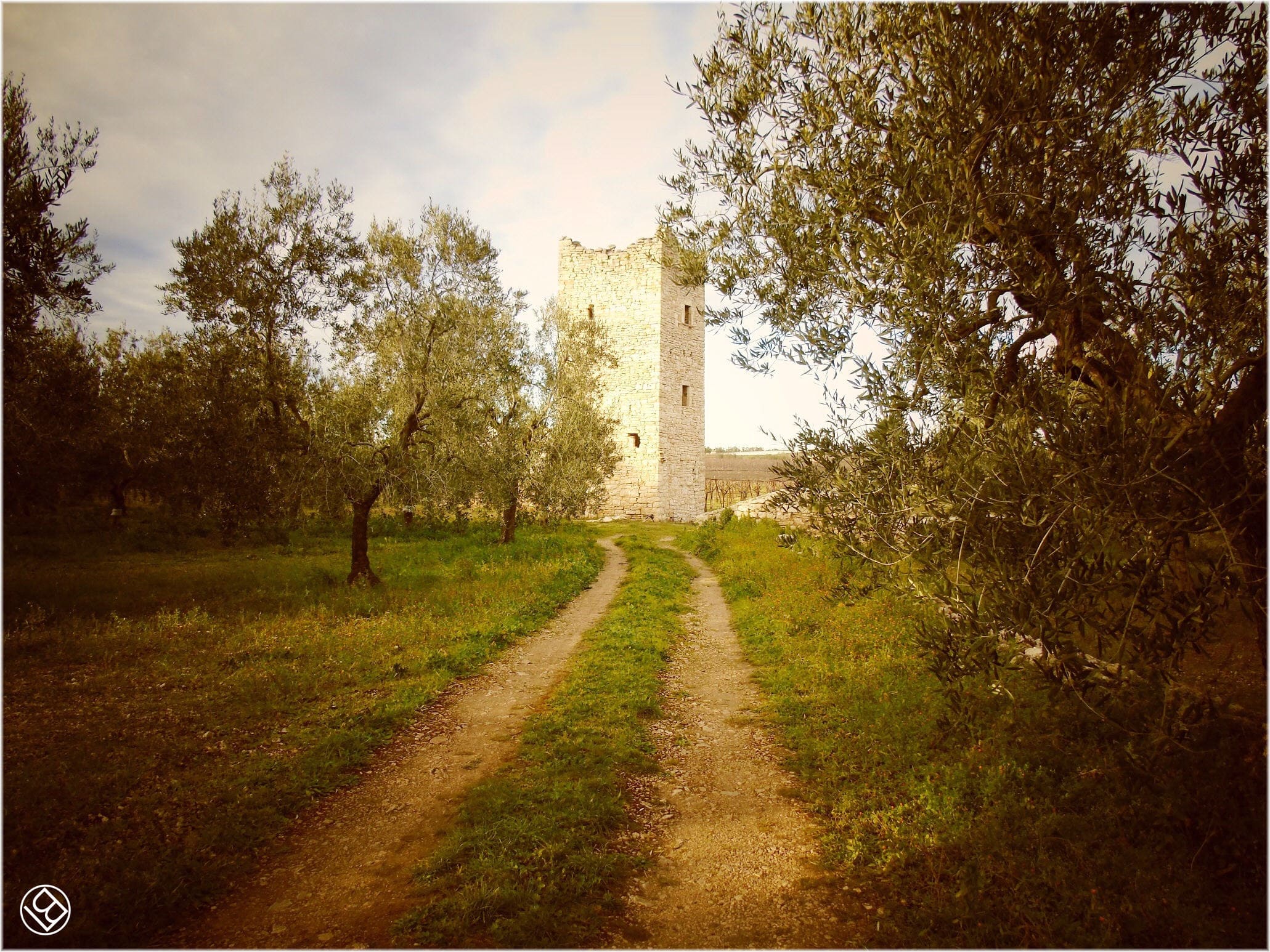 Torre Quercia - in agro di Ruvo di Puglia -  e masserie nei dintorni