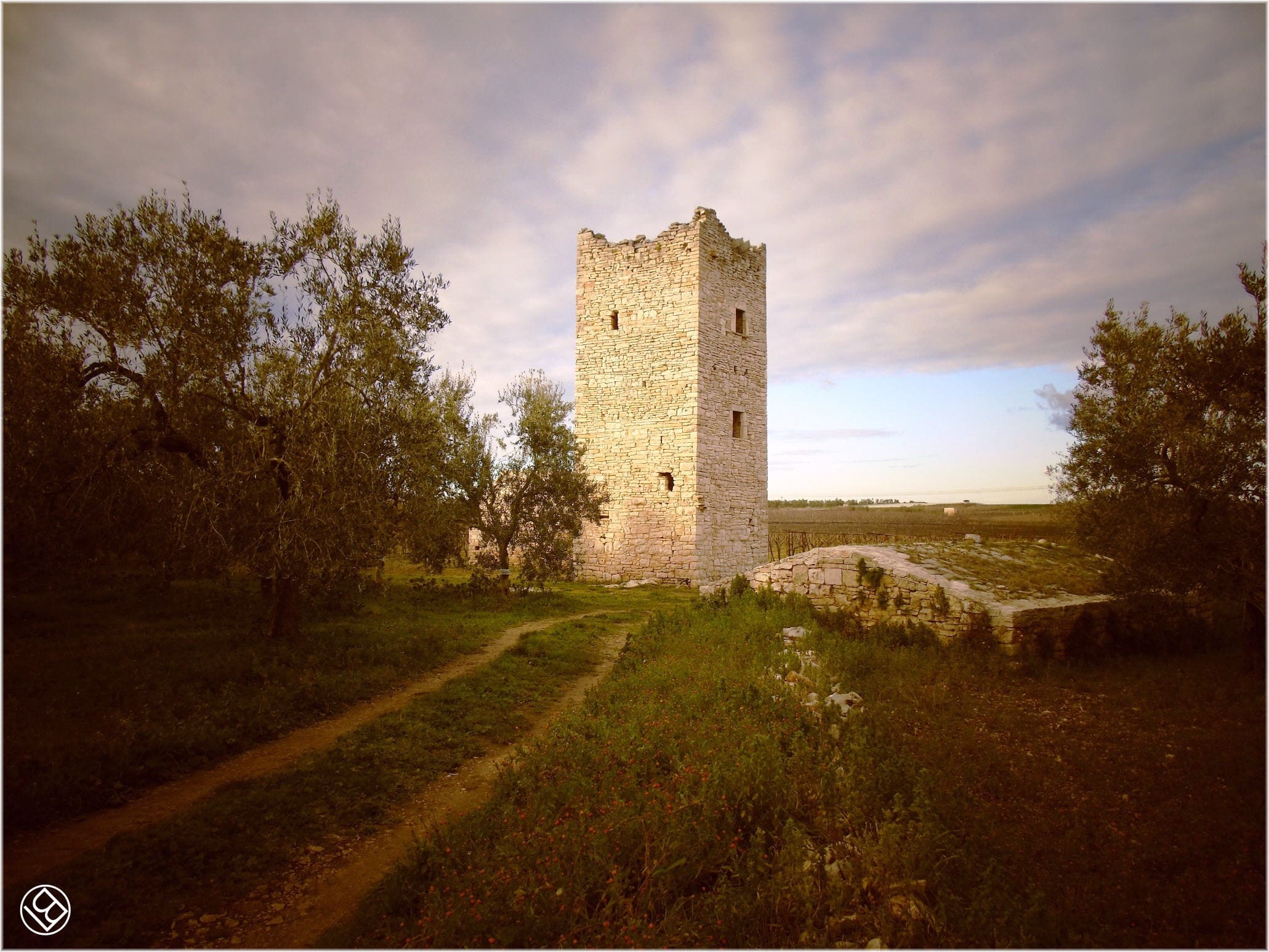 Torre Quercia - in agro di Ruvo di Puglia -  e masserie nei dintorni