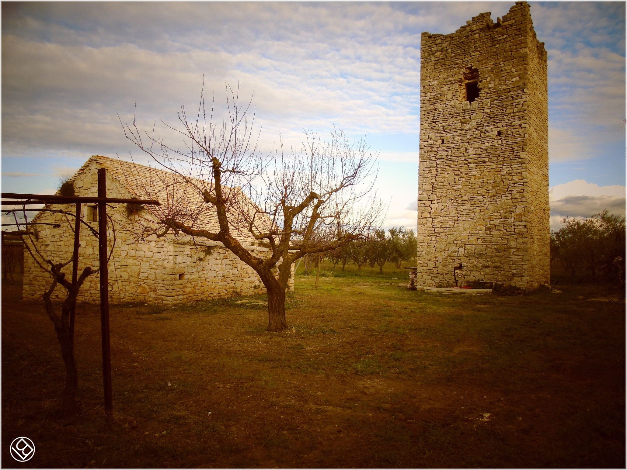 Torre Quercia - in agro di Ruvo di Puglia -  e masserie nei dintorni