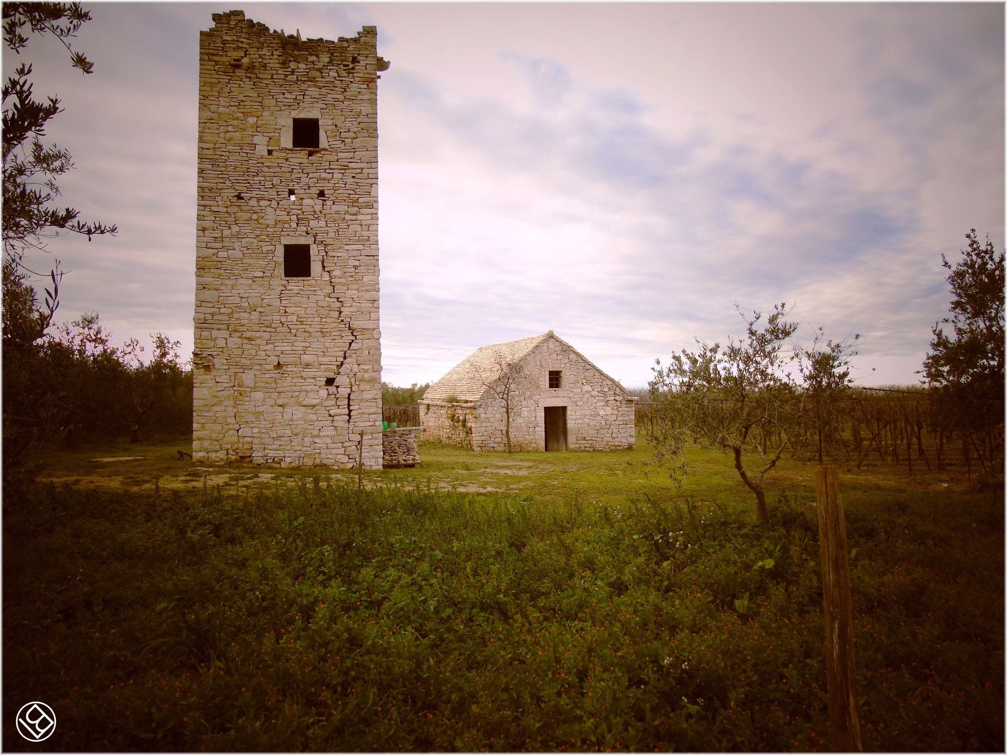 Torre Quercia - in agro di Ruvo di Puglia -  e masserie nei dintorni