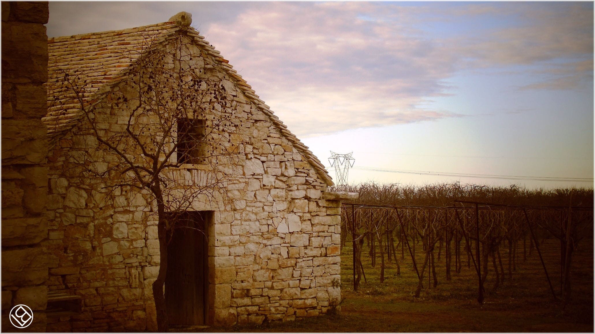 Torre Quercia - in agro di Ruvo di Puglia -  e masserie nei dintorni