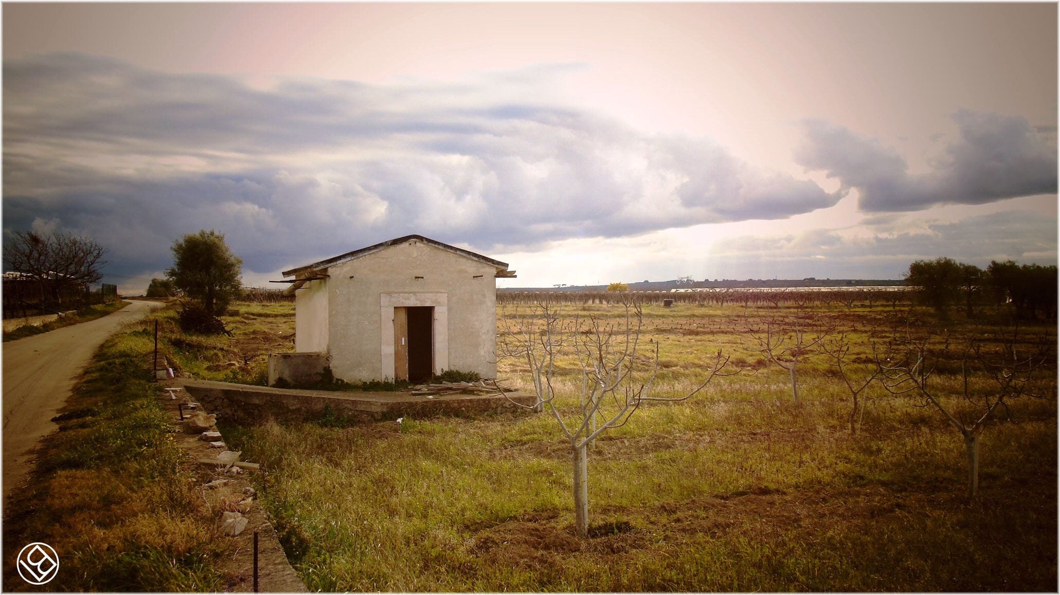 Torre Quercia - in agro di Ruvo di Puglia -  e masserie nei dintorni