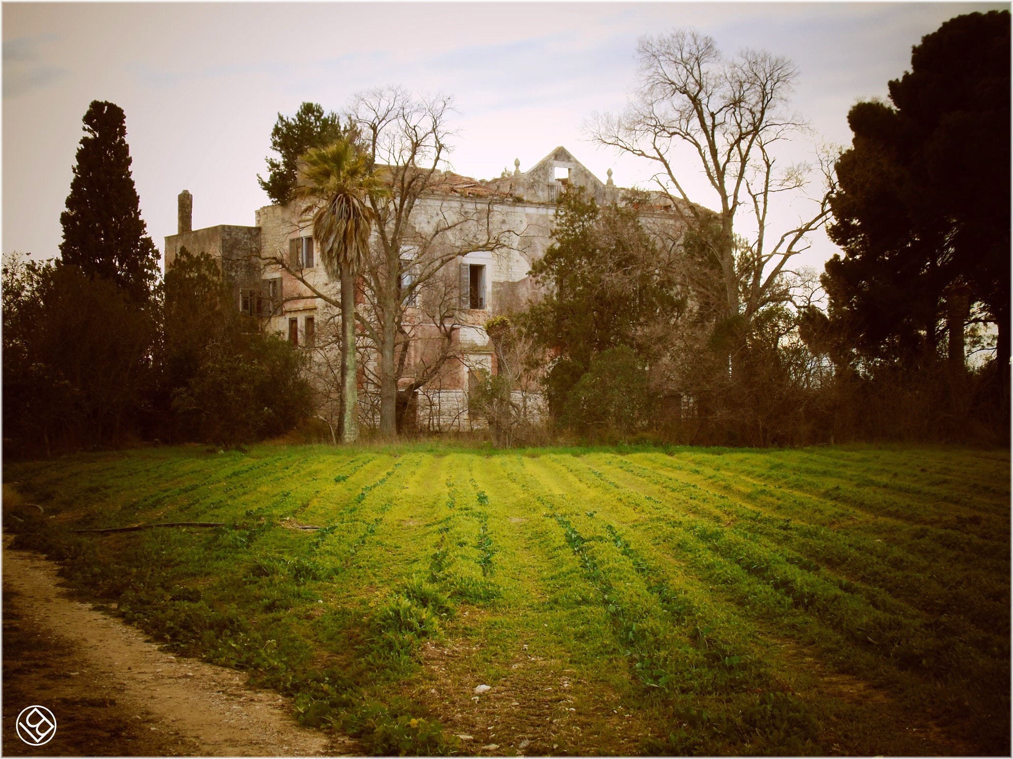 Torre Quercia - in agro di Ruvo di Puglia -  e masserie nei dintorni