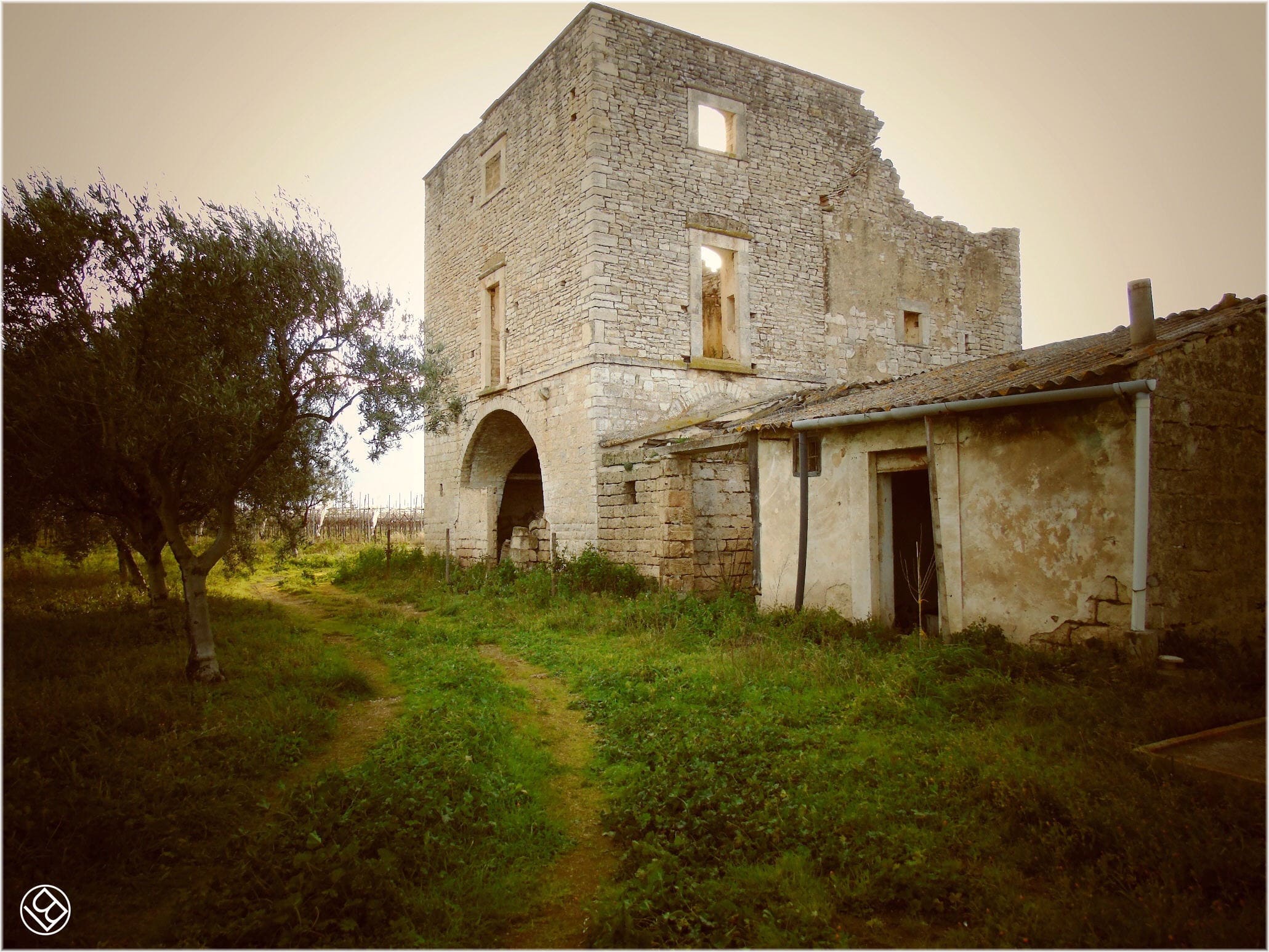 Torre Quercia - in agro di Ruvo di Puglia -  e masserie nei dintorni