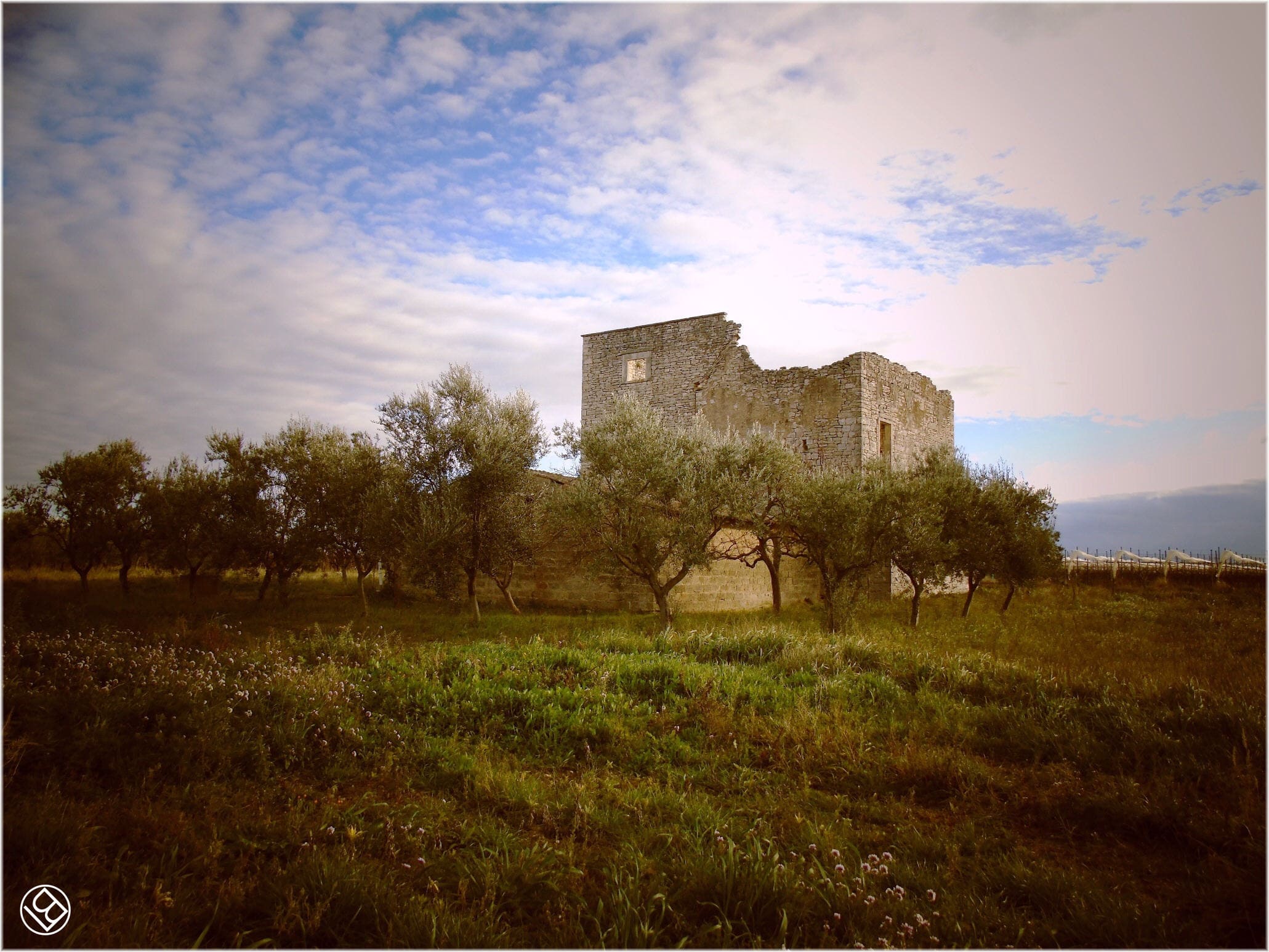 Torre Quercia - in agro di Ruvo di Puglia -  e masserie nei dintorni