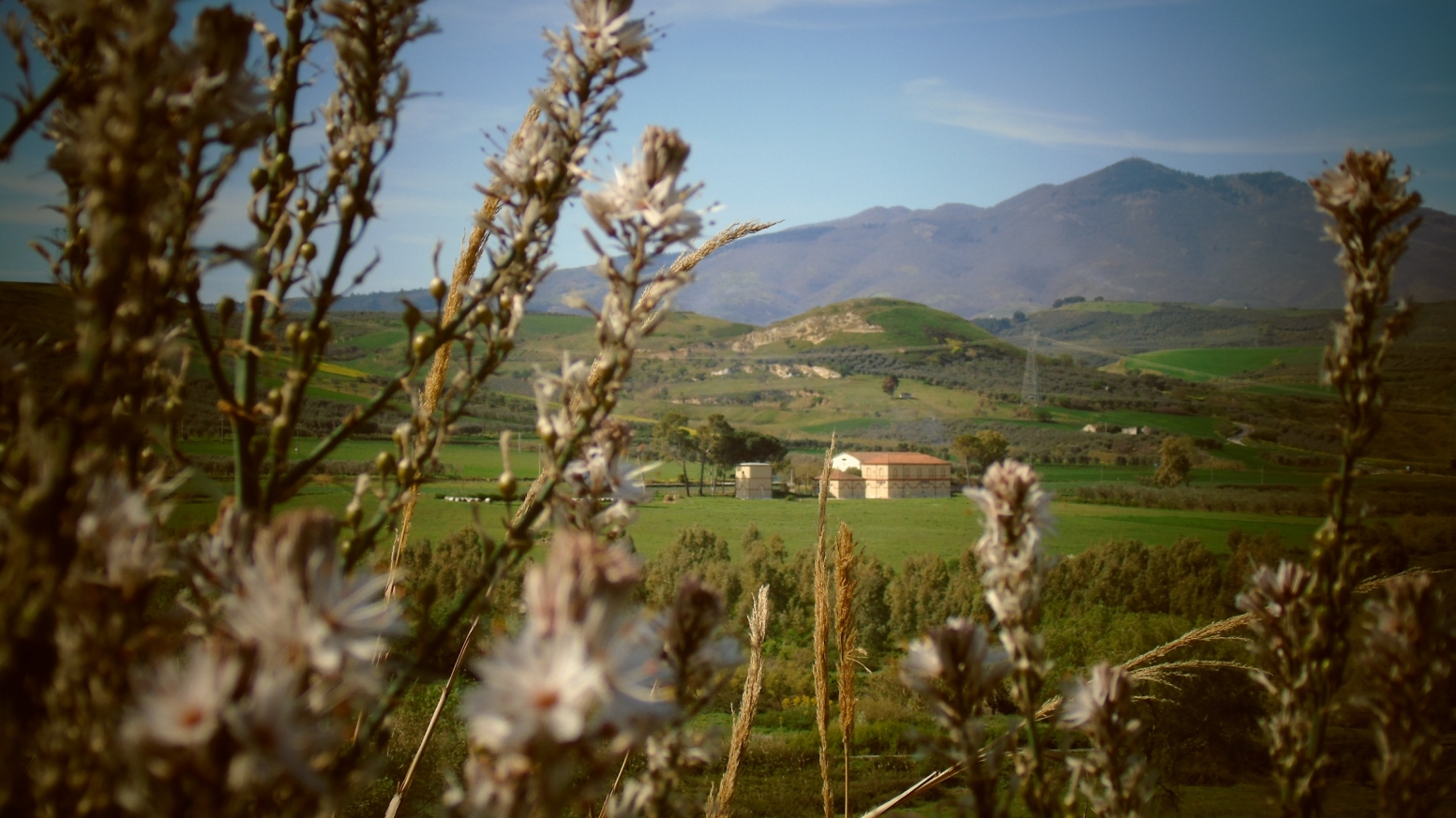 In agro di Venosa - Al centro della foto la dismessa stazione ferroviaria di Rapolla - Lavello
