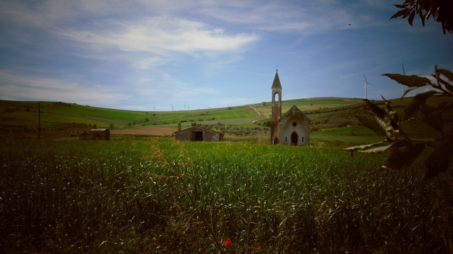 In agro di Venosa - Veduta Chiesa Sanzanello img. 3 

