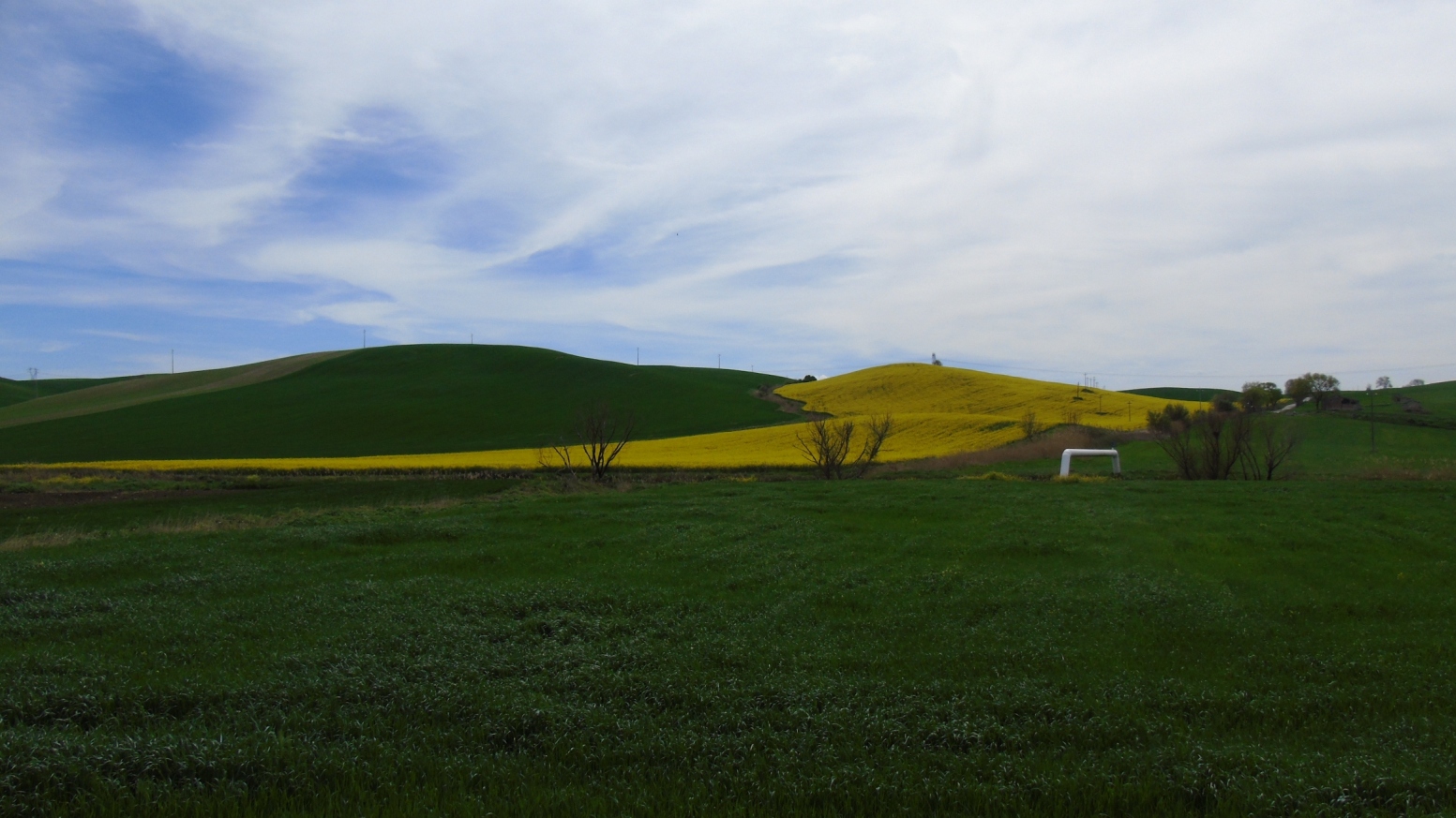 In agro di Genzano di Lucania - Veduta dalla SP 129 img. 1