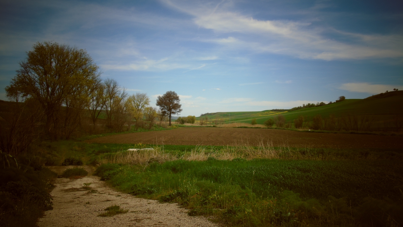 In agro di Genzano di Lucania - Veduta dalla SP 129 img. 2
