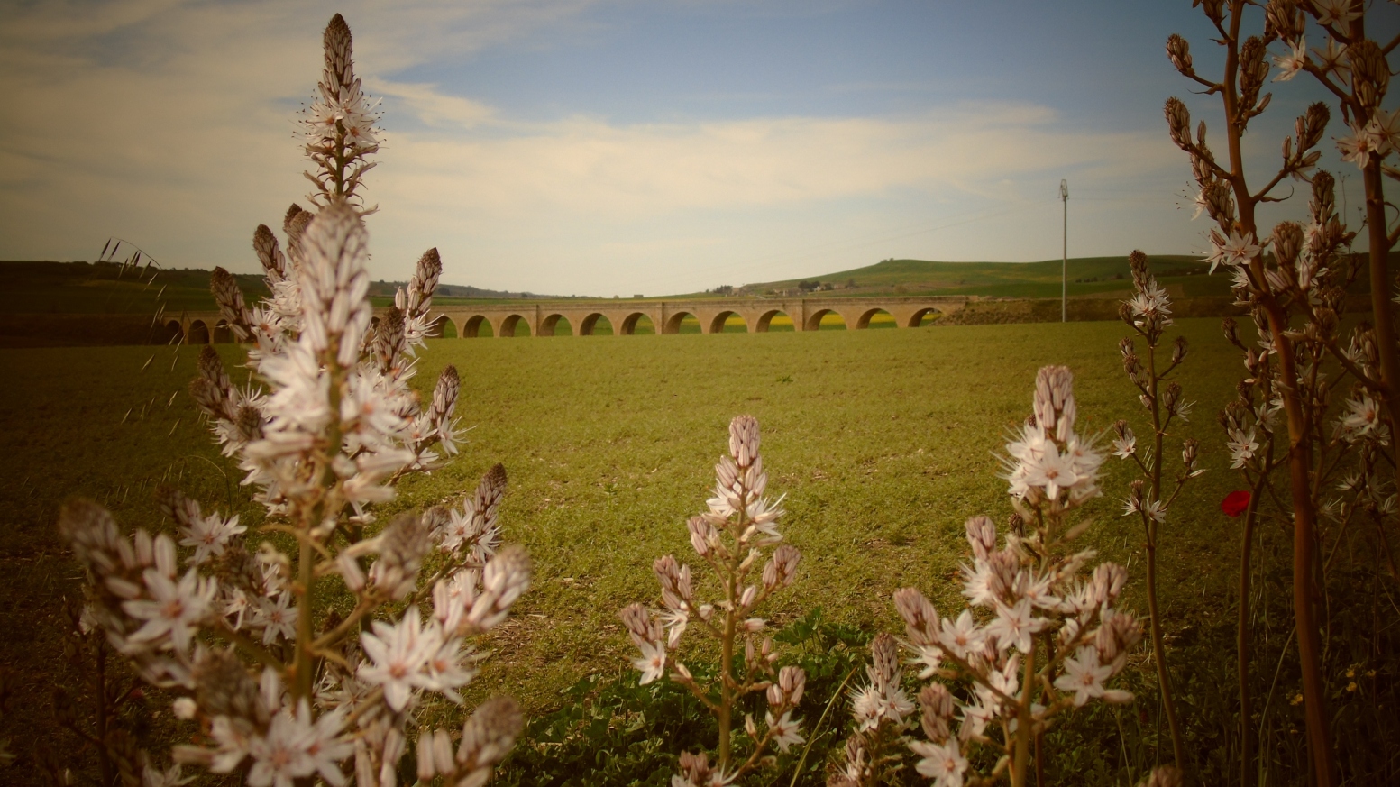 In agro di Spinazzola - Veduta Ponte dei 21 archi img. 2