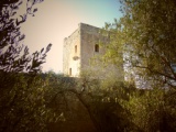 Torre Mino, in agro di Molfetta (BA)