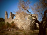 Torre dell'Alfiere, in agro di Terlizzi(BA)