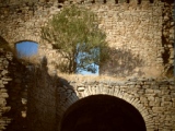 Torre dell'Alfiere, in agro di Terlizzi(BA)