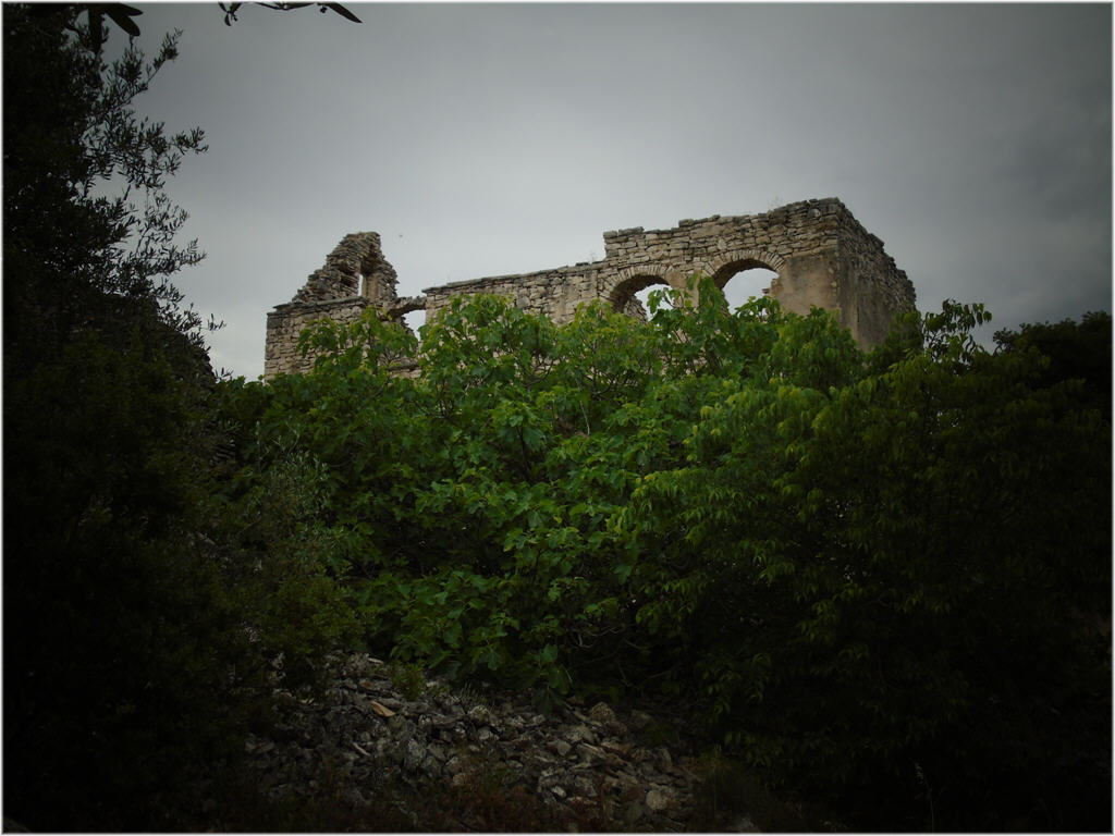 Escursione del 12 e 16 Maggio 2021: le foto riprendono scorci di Torre Spoto e dintorni in agro di Bitonto.