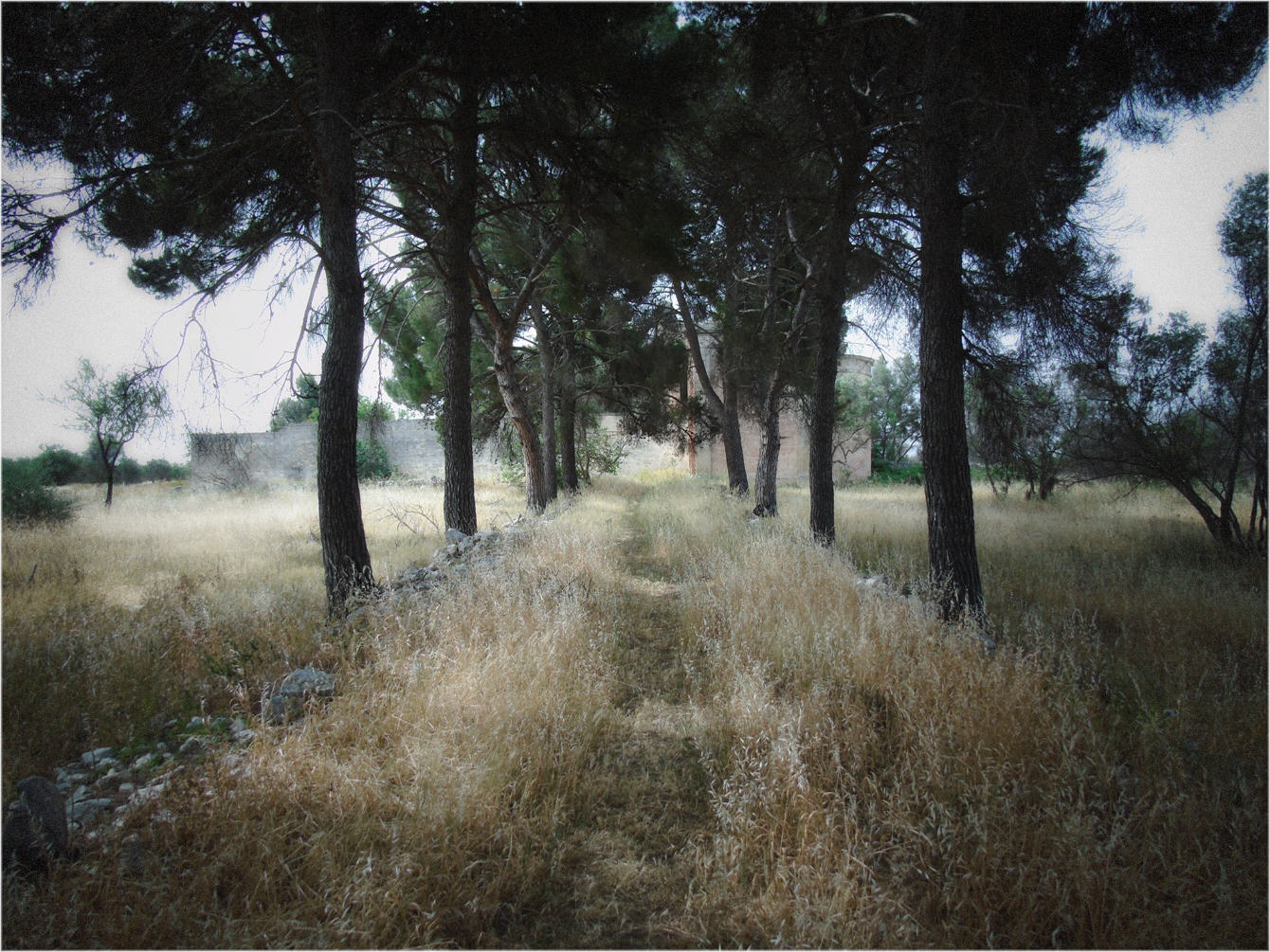 Slideshow di alcune fotografie (amatoriali) di Leonardo Basile che riprendono particolari della Masseria Villa Lamberti scattate durante l'escursione del giorno 18 maggio 2024.