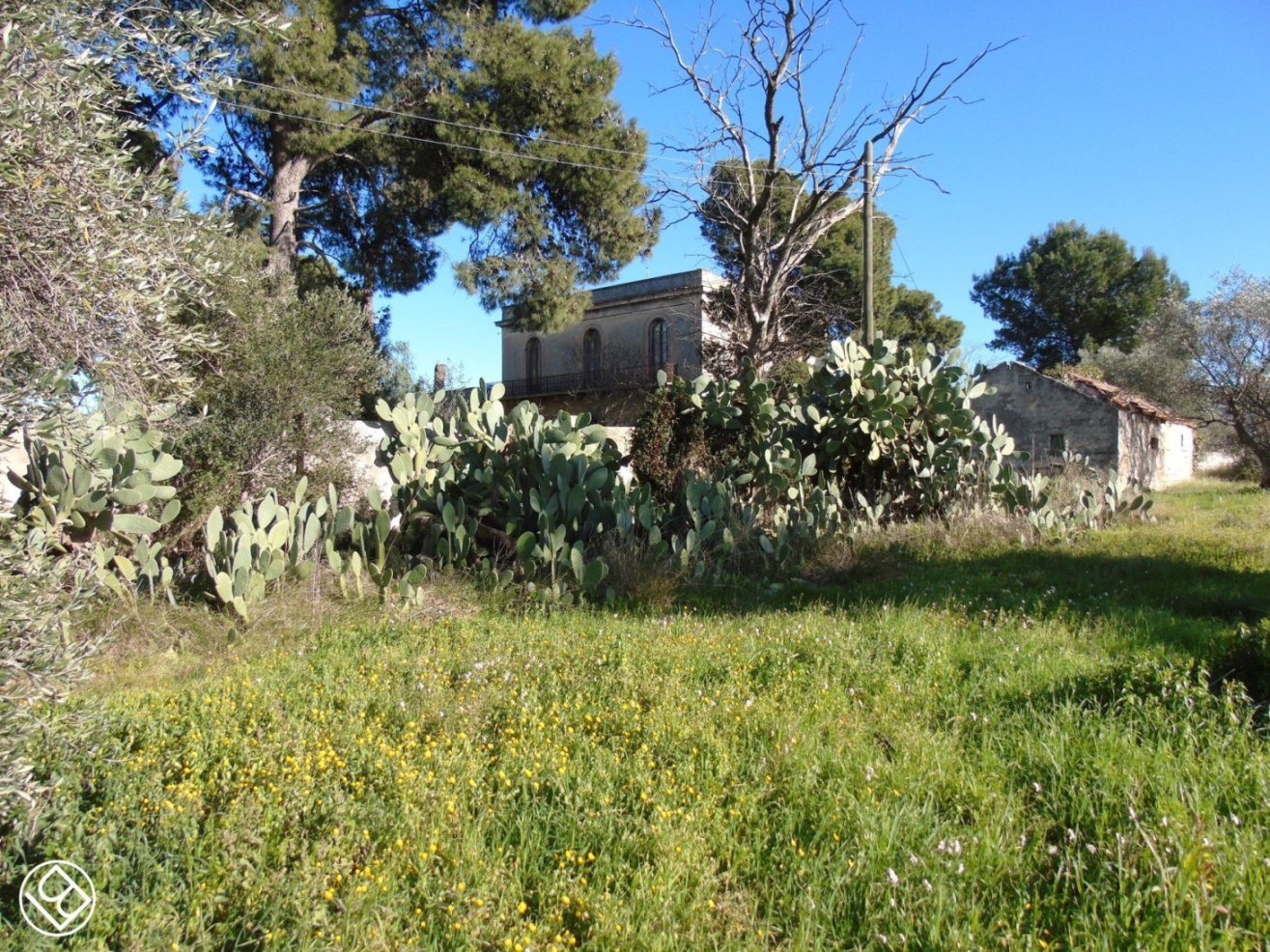 In agro di Bari - Villa/masseria in Strada Santa Caterina - 1 
