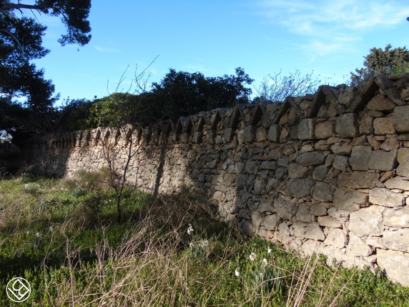 In agro di Bari - Villa/masseria in Strada Santa Caterina - 4

