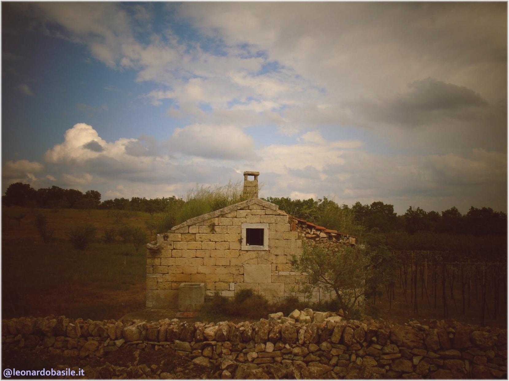 Zona Patanella - Bosco di Ruvo di Puglia (BA)