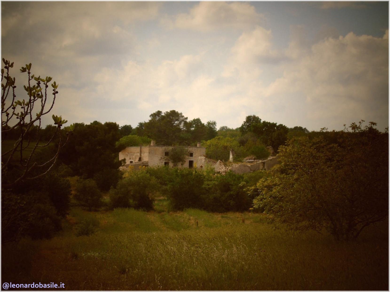 Zona Patanella - Bosco di Ruvo di Puglia (BA)