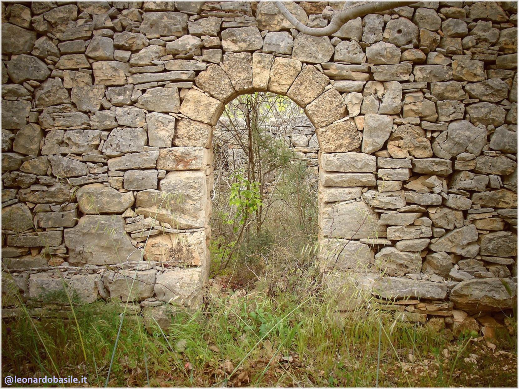 Zona Patanella - Bosco di Ruvo di Puglia (BA)