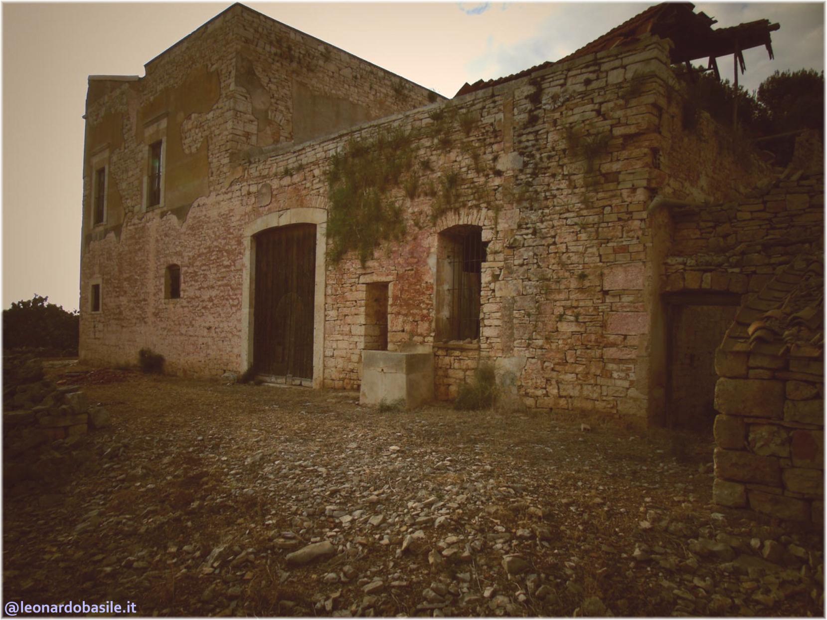 Zona Patanella - Bosco di Ruvo di Puglia (BA)