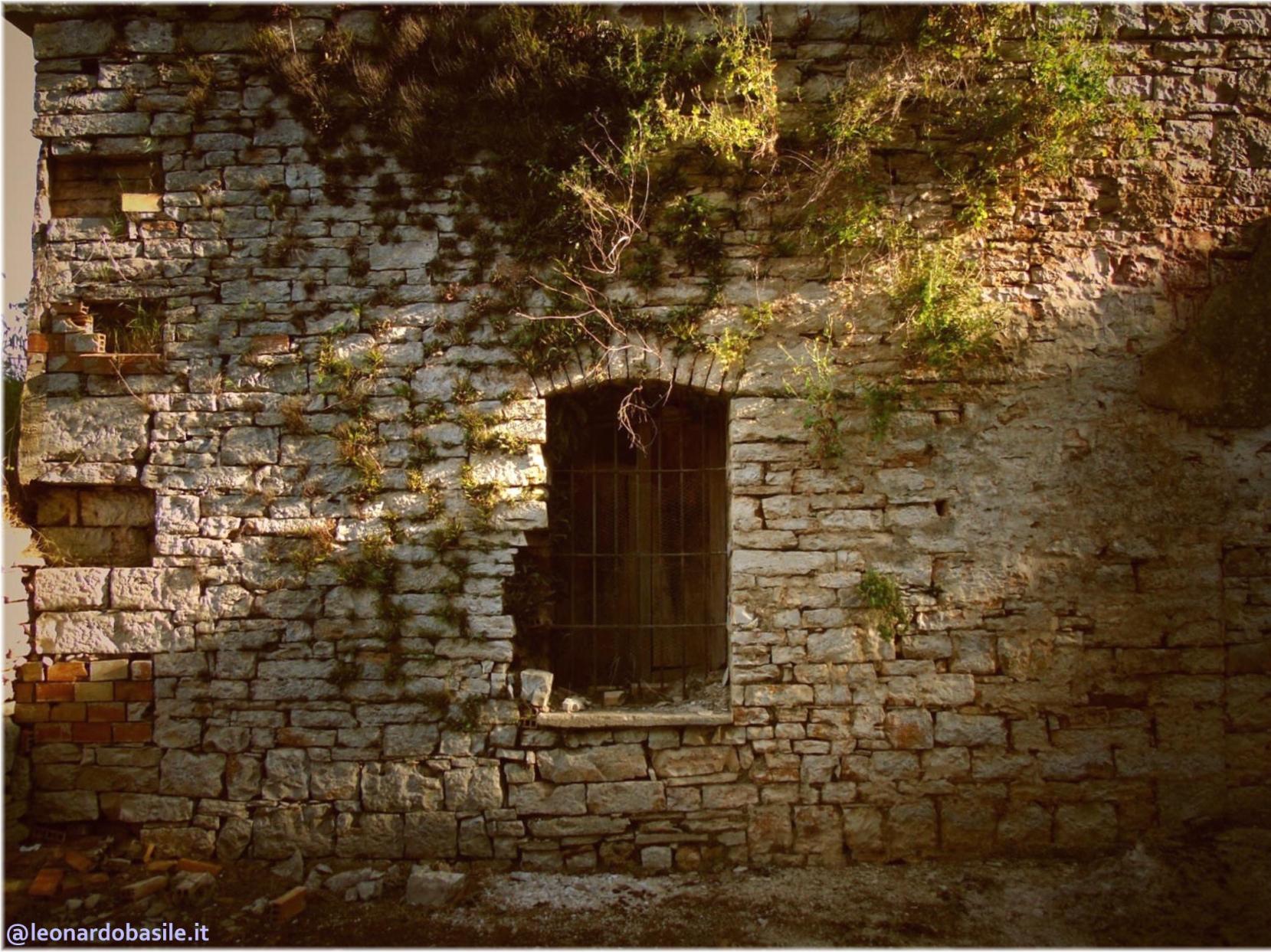 Zona Patanella - Bosco di Ruvo di Puglia (BA)