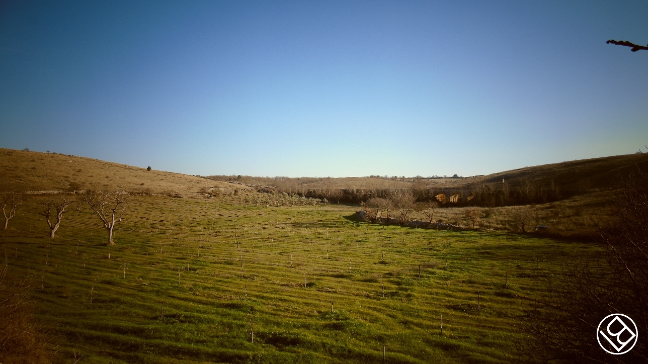 In agro di Santeramo in Colle - Masseria Trafone
