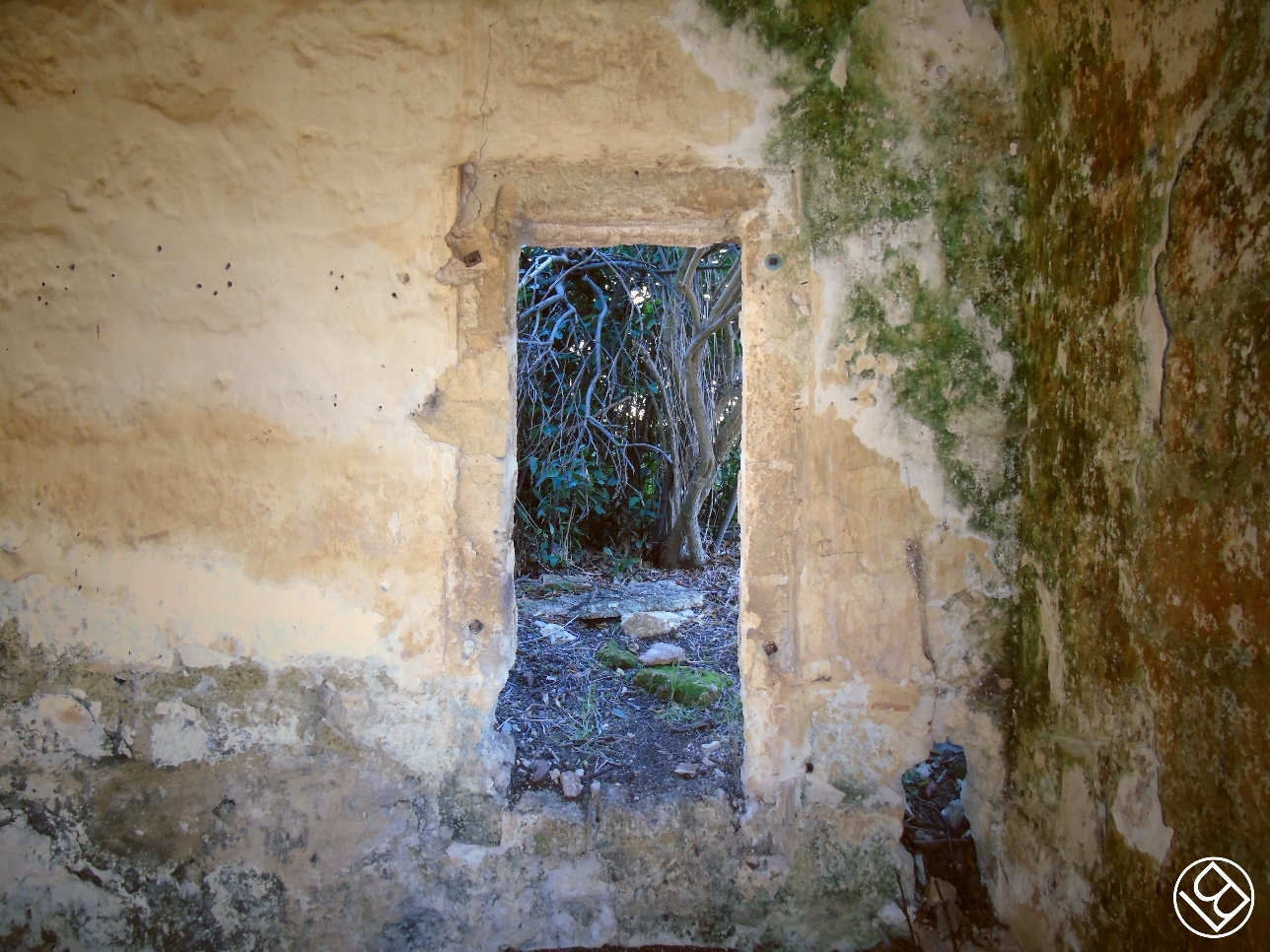 In agro di Santeramo in Colle - Masseria Trafone
