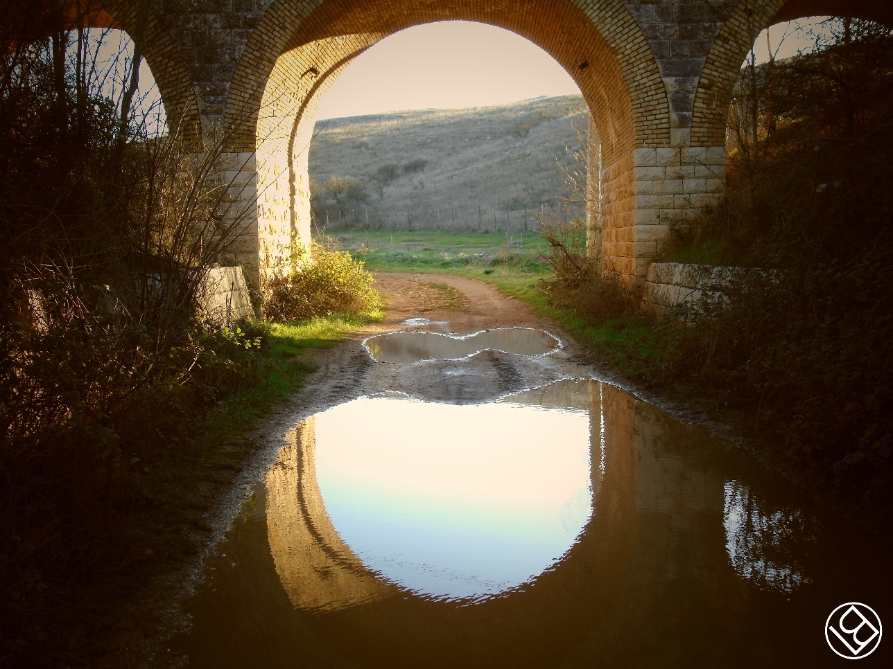 In agro di Santeramo in Colle - Ponte ferrovia dismessa
