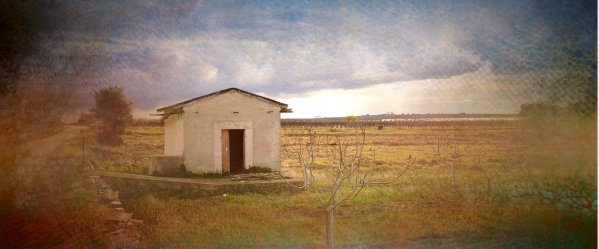 Elaborazione grafica di Leonardo Basile: Strada Vicinale S.Silvestro , in agro di Ruvo di Puglia (BA) 41.094019, 16.500185