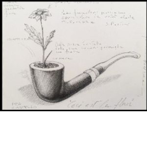 Rocco Dubbini, disegno preparatorio di Ceci est le fleur, 2023, installazione site-specific per il Museo Sandro Pertini e Renata Cuneo, Savona, pipa castello, terra, fiore, legno e plexiglass, 135x25x25 cm
