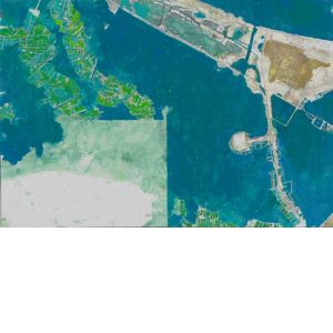 Giorgio Ortona, Suez