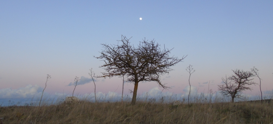 Angolo di Parco in una fotografia amatoriale di Leonardo Basile