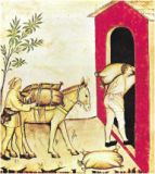 Olio d'oliva - Miniatura dal Theatrum sanitatis