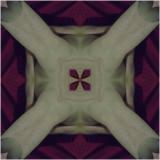 Conflitto_51_07[Digital Image Processing]mini